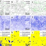 article_Microstructure_2