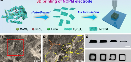 article_NCPM_1