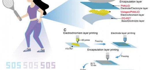 article_electo_FECDS_1