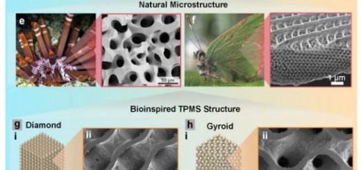 article_bio construction_1